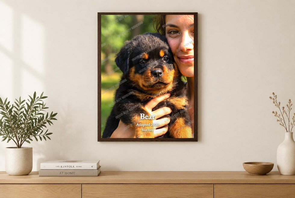Framed pet portrait — Bear