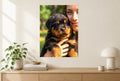 Fine-art pet portrait print