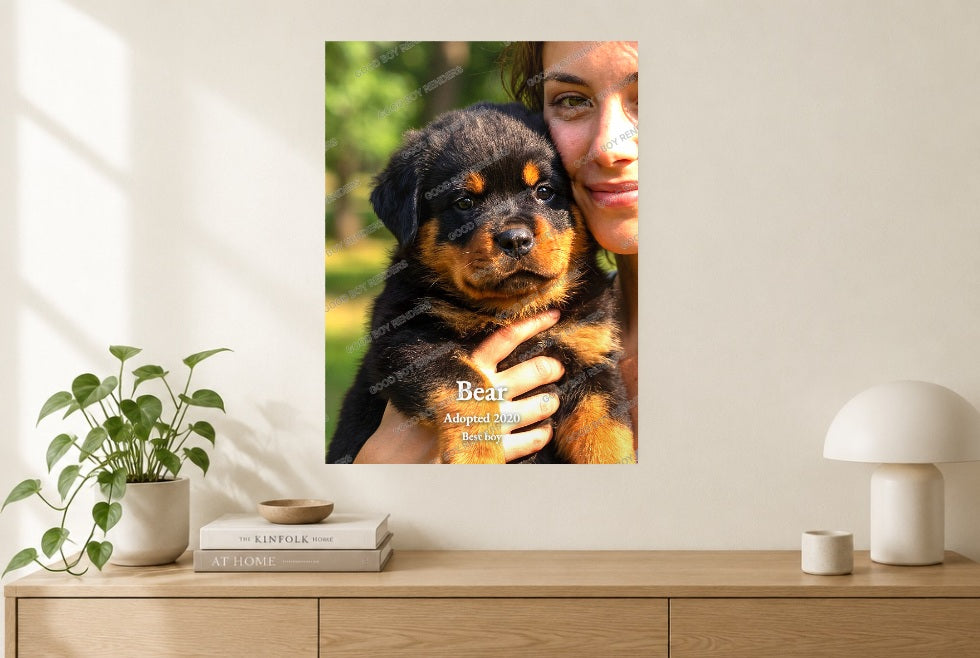 Fine-art pet portrait print — Bear